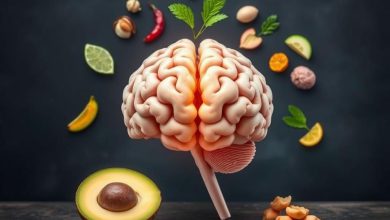 تغذیه مغز راهکارهای عملی برای ارتقای توانایی ذهنی