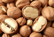 آیا آجیل بخوریم؟ فواید و مضرات،ارزش غذایی و بهترین زمان مصرف