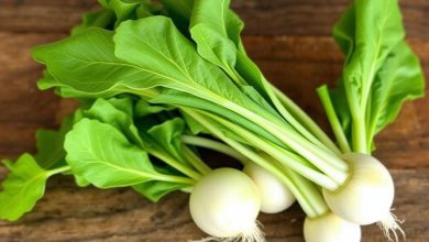 فواید خوردن شلغم برای شوره سر و سرماخوردگی چیست