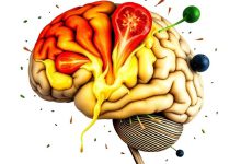ده غذایی که توانایی مغز را نابود می سازد