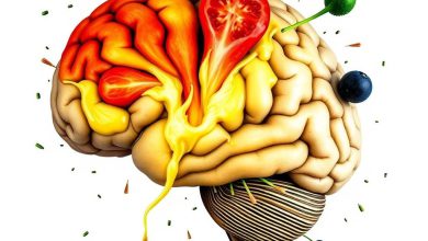 ده غذایی که توانایی مغز را نابود می سازد