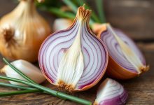 اگر با غذا پیاز می خورید فواید و مضرات آن را بدانید