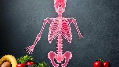 خوراکی های استخوان ساز برتر کدامند تقویت فوری