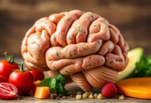 خوراکی های تقویت کننده حافظه برترین غذاها کدامند