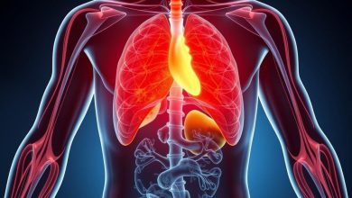 نقش تغذیه در فرایند ترمیم زخم بدن انسان