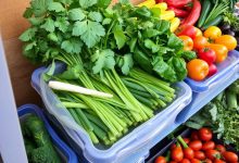 سبزیجات خواص و روشهای صحیح نگهداری آنها