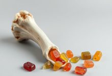 استخوان و پوست گاو با پاستیل خوشمزه چه میشود؟