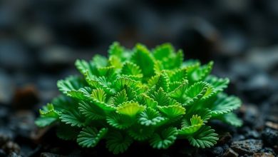 راز سبزی گیاهان: 13 خاصیت شگفت انگیز کلروفیل