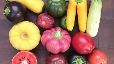 هشت میوه و سبزی خوردنی که باید مصرف کنید