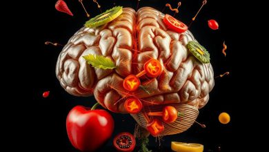 غذاهای دشمن مغز کدامند شناختن آن برای سلامتی ضروری است